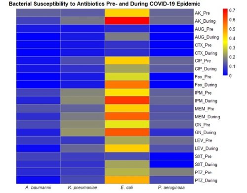 Zafer Blog Image 2.jpg