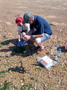 Alyssa Winder investigating at the beach 
