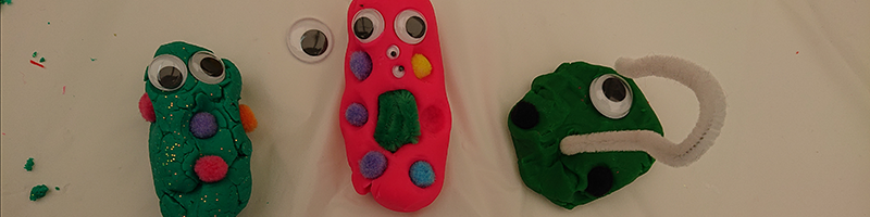 balmoral show blog.png