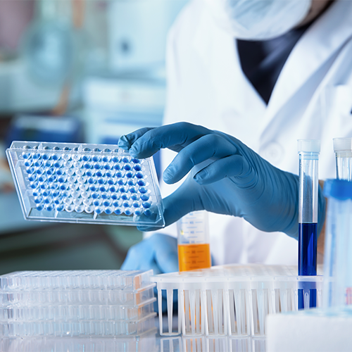 Scientist in gloves and a lab coat holding a microplate with blue samples, working at a busy lab bench