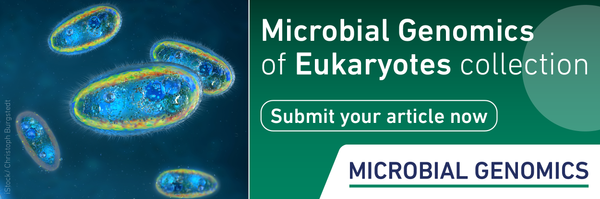 Eukaryotic-Meeting-Collection-banner.png