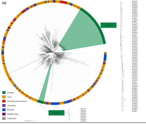 figure 1 mgen blog.png