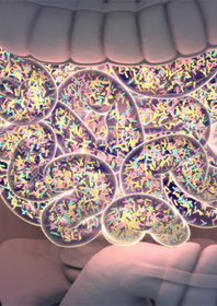 Scientific illustration showing the gut microbiome in the intestine