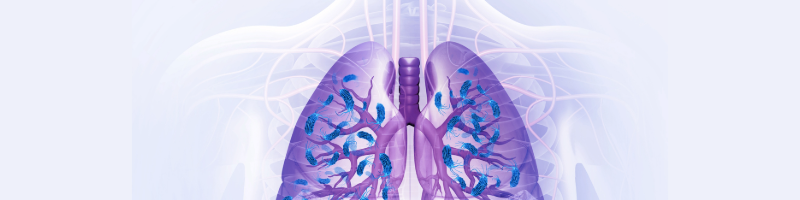 Joshua Robertson blog main (11).png