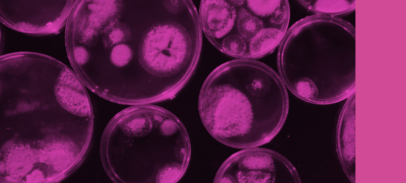 Branding used for Access Microbiology