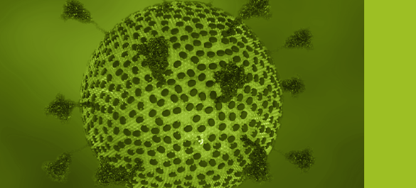 Branding used for Journal of General Virology Editorial Board