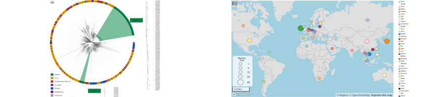 Mark Maguire  blog main image.png