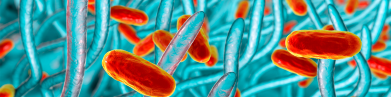 My project-1 (17).png