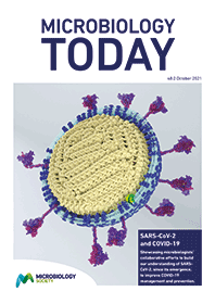 Microbiology Today front cover.