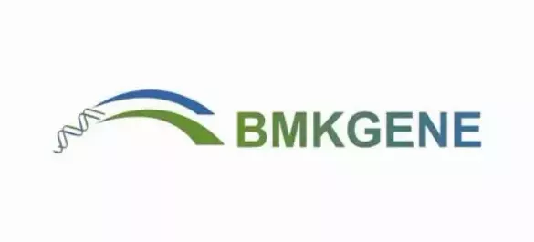 BMK Gene.webp